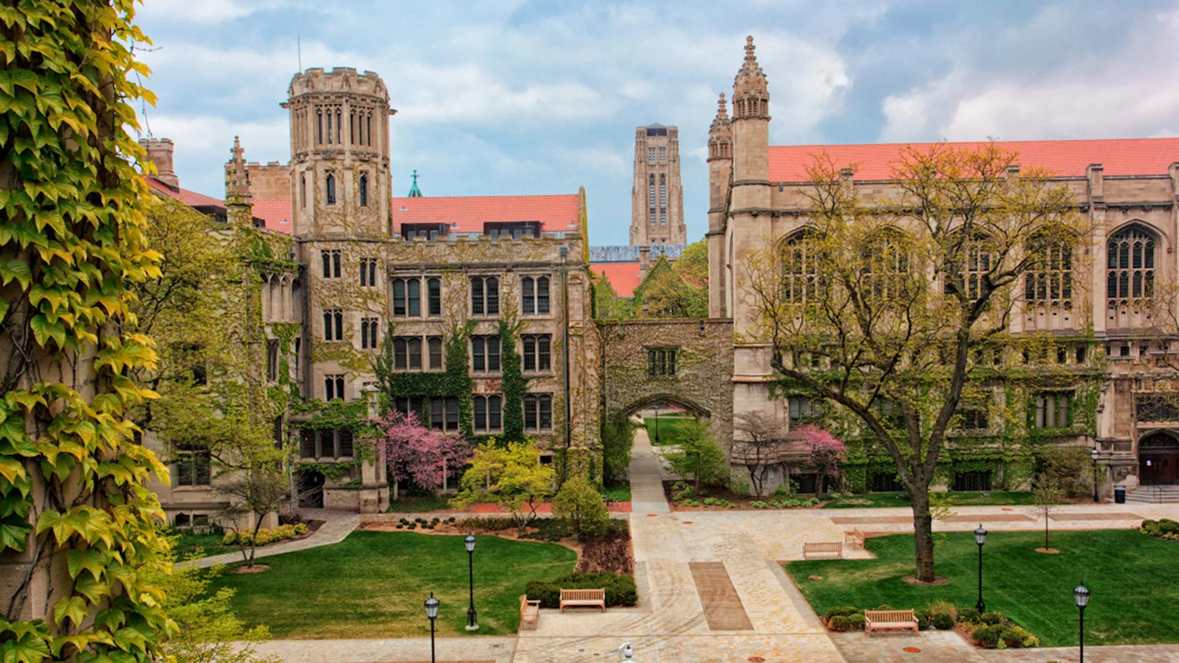 Top 5 trường đại học danh tiếng nhất nước Mỹ 4